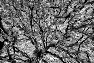 Original Abstract Expressionism Nature Photography by Barry Guthertz