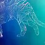 Natura Forma Five (Tiger)