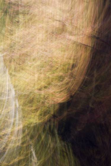 Original Abstract Nature Photography by T Paige Dalporto
