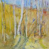 Birches, Connecticut by Ann Quackenbos