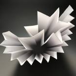Paper Spray #12 by Elise HEGEDUS
