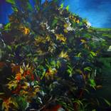 Sunflowers by Artem Brazhnik