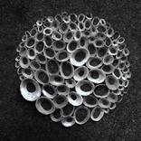 473 | AP Shells in the Round #6 - Limited Edition 1 of 10 by Leonie Barton