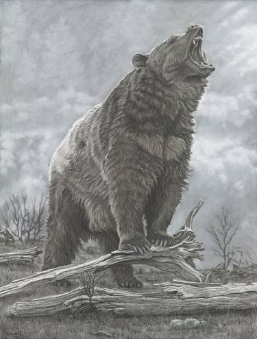 Original Realism Animal Drawings by Gary Johnson