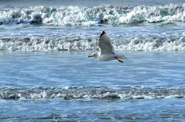 Print of Figurative Seascape Photography by Jan Everink