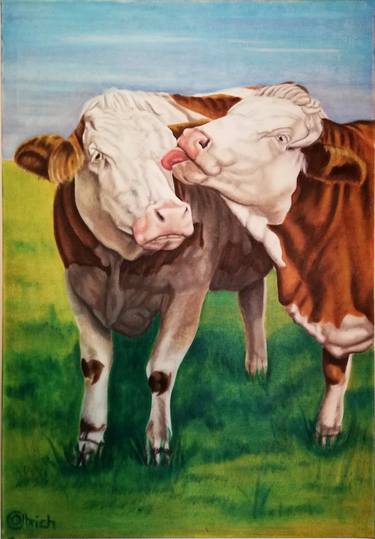 Original Figurative Cows Paintings by christine olbrich