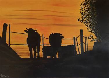 Cows in the dawn thumb