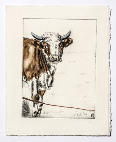 Print of Rural life Printmaking by christine olbrich