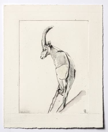 Ibex In The Mountains - Limited Edition of 8 thumb
