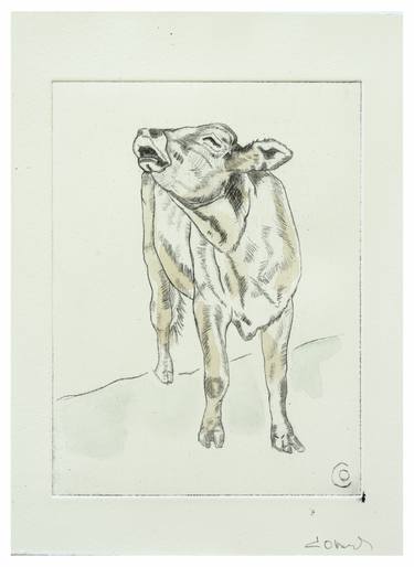 Original Animal Printmaking by christine olbrich
