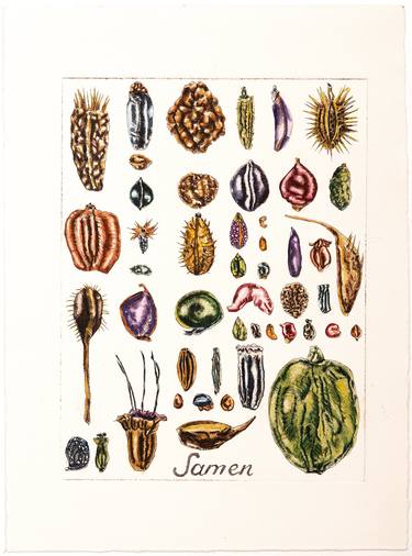 Print of Botanic Printmaking by christine olbrich
