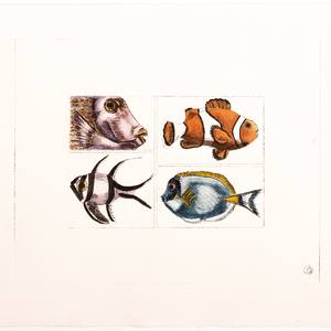 Collection Fishes And Birds Of Creation