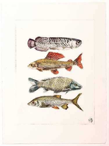 Print of Animal Printmaking by christine olbrich