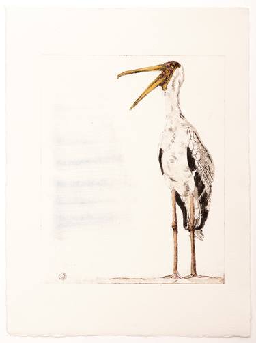 Print of Fine Art Animal Printmaking by christine olbrich