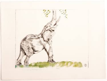 Print of Animal Printmaking by christine olbrich