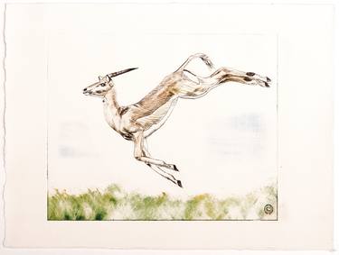 Print of Fine Art Animal Printmaking by christine olbrich