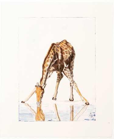 Original Figurative Animal Printmaking by christine olbrich