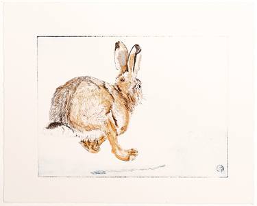 Original Fine Art Animal Printmaking by christine olbrich