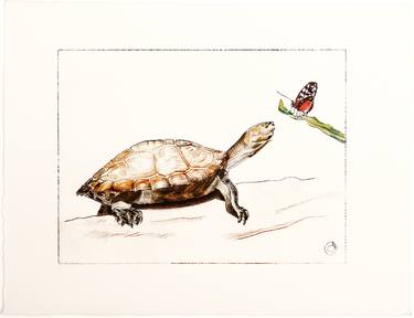 Original Fine Art Animal Printmaking by christine olbrich