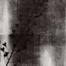 view additional image 1