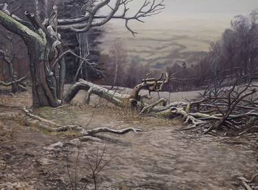 Original Landscape Paintings by Wojciech Pater