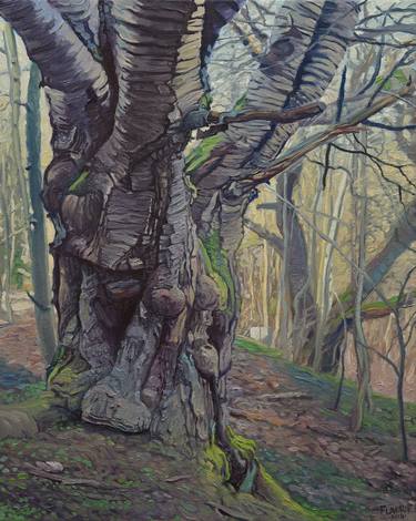 Original Nature Paintings by Wojciech Pater