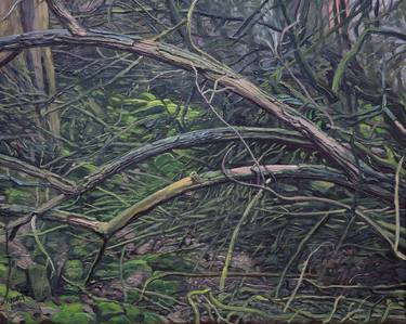 Original Nature Paintings by Wojciech Pater