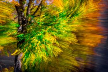 Print of Fine Art Abstract Photography by Jerzy Lech