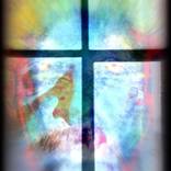 Collection PROJECT DIGITAL ART;- CHRISTOPHER-ANDRUKIEWICZ.
