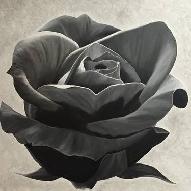 Print of Fine Art Floral Paintings by Mark James