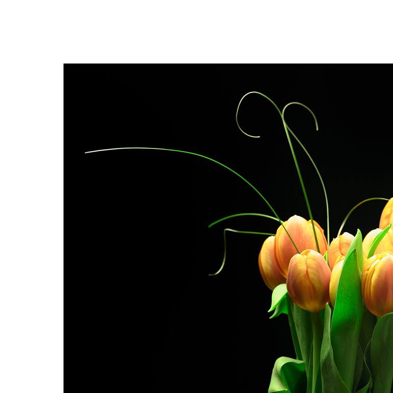 Original Fine Art Floral Photography by Paul Emerson