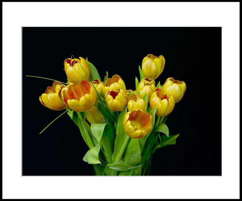 Original Fine Art Floral Photography by Paul Emerson