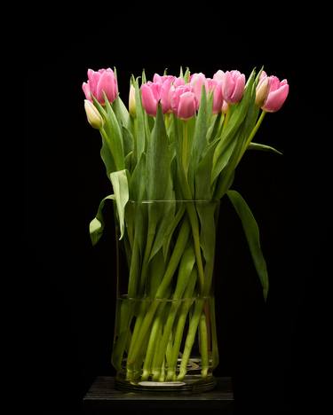 Pink Tulips in Glass - Limited Edition thumb