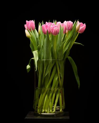 Original Floral Photography by Paul Emerson