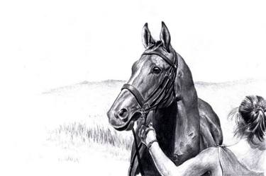 Original Horse Drawing by Ian Holtedahl-Finlay