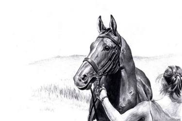 Original Figurative Horse Drawings by Ian Holtedahl-Finlay