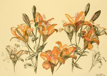 Print of Fine Art Botanic Drawings by Lula Bajek