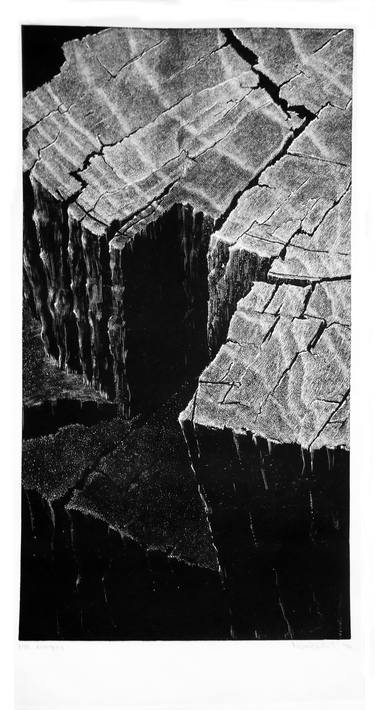 Print of Conceptual Nature Printmaking by Nikola Kašterović