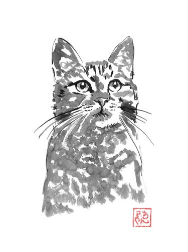 Original Animal Drawings by pechane sumie