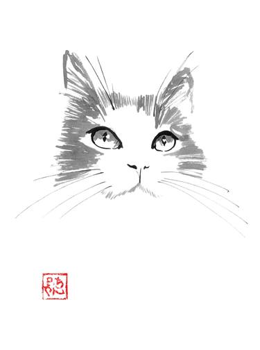 Original Fine Art Animal Drawings by pechane sumie