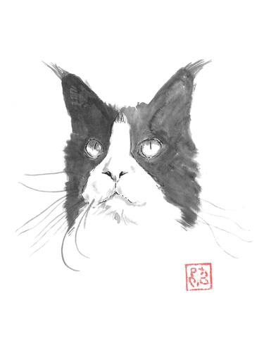 Original Fine Art Cats Drawings by pechane sumie