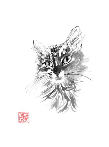 Original Black & White Cats Drawings by pechane sumie