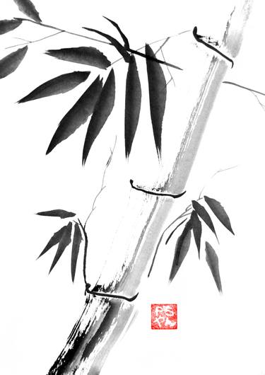 classic bamboos image
