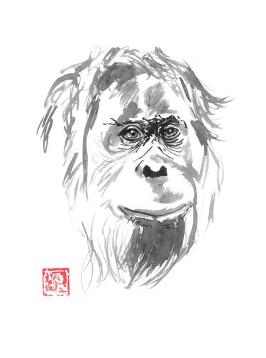 Original Fine Art Animal Drawings by pechane sumie