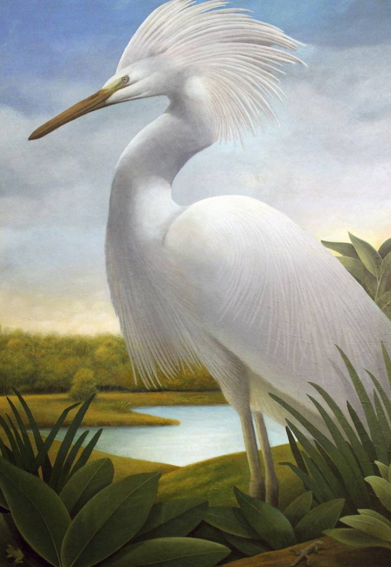 Snowy Heron or White Egret, Bird Print