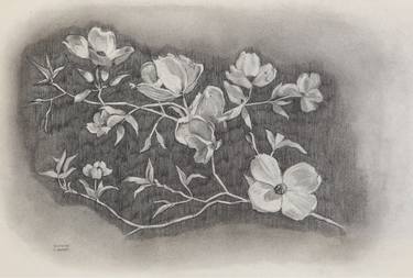 Original Botanic Drawing by dawn wagner