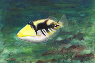 Original Realism Fish Paintings by Nervart FineArt