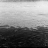 Water surface - Limited Edition 1 of 100 by Barbara Fellner