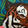 Tiger detail