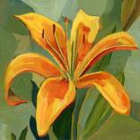 Collection March Favorites